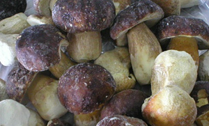 Frysta livsmedel
